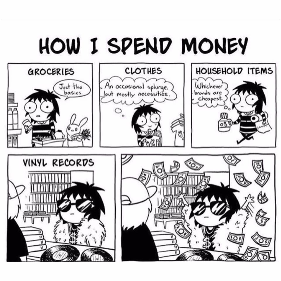 sarah andersen.jpg