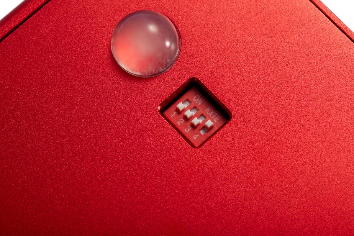 RED-21-Large (1).jpg