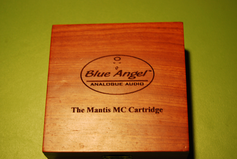 Blue_Angel_Mantis_2.JPG