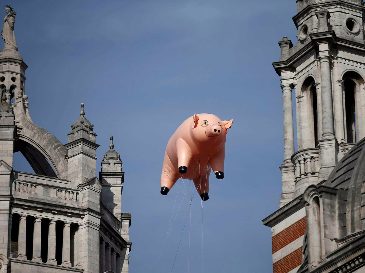 Pigs on the Wing.jpg