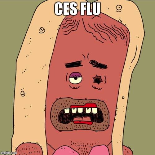 ces flu.jpg