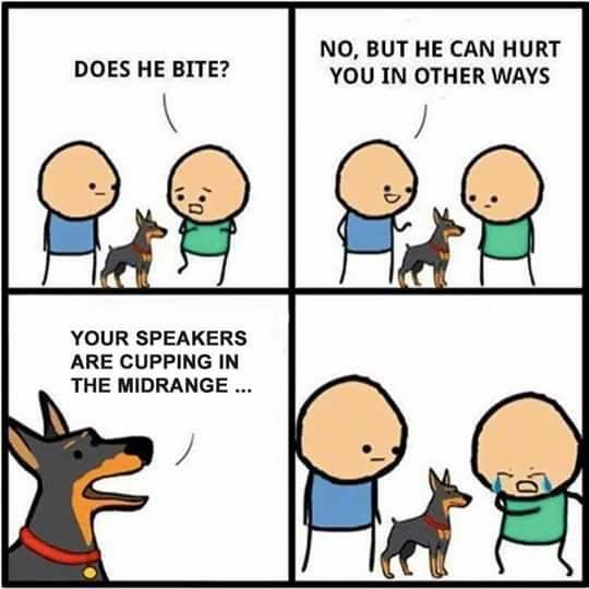 FUN.jpg