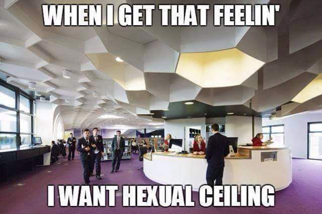 FB_IMG_1501817286349.jpg