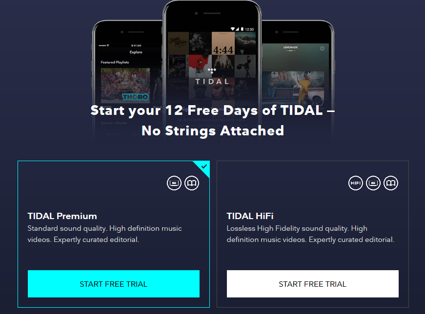 Screenshot-2017-12-25 TIDAL - High Fidelity Music Streaming(1).png