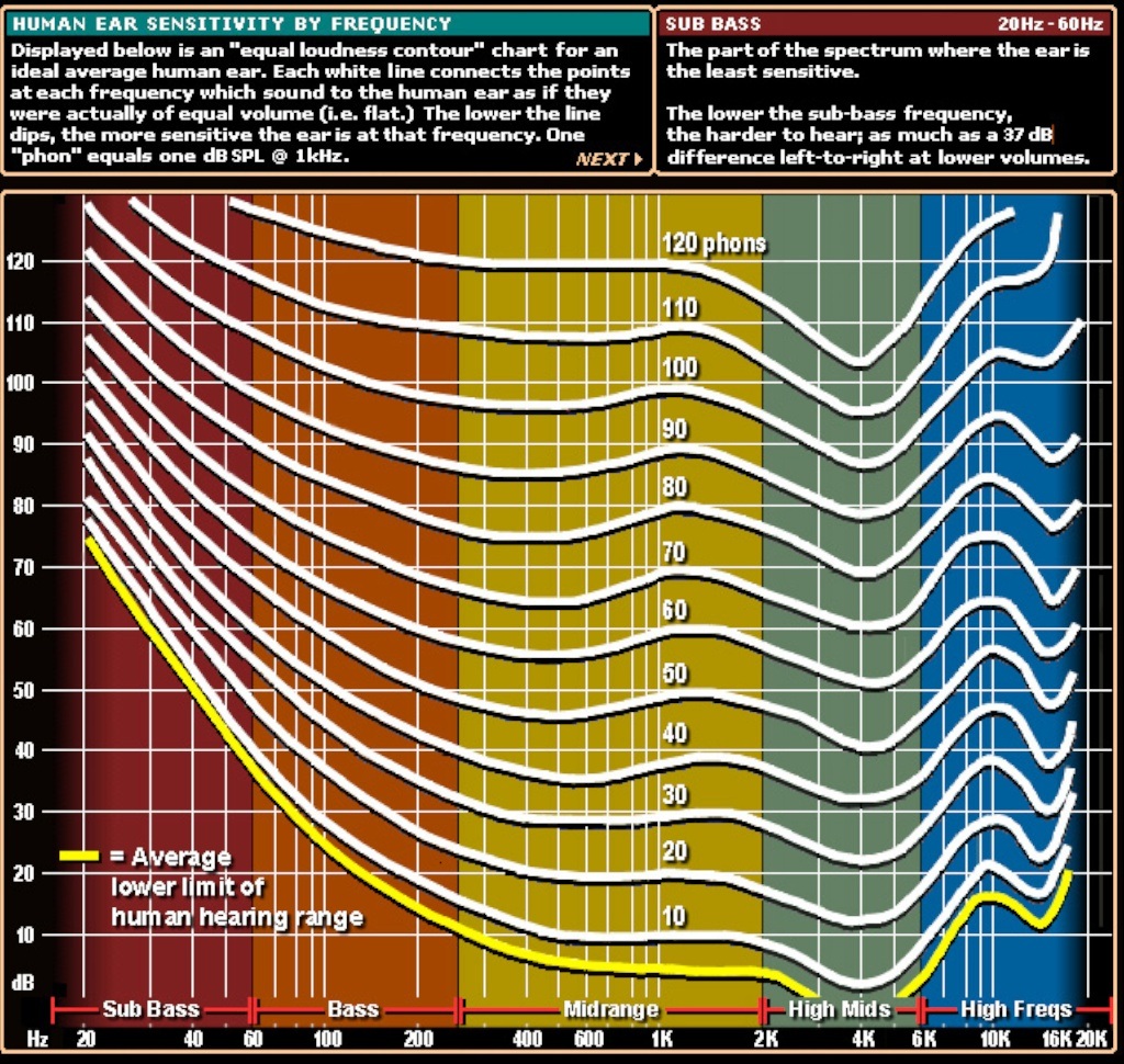 Hearing Sensitivity.jpg