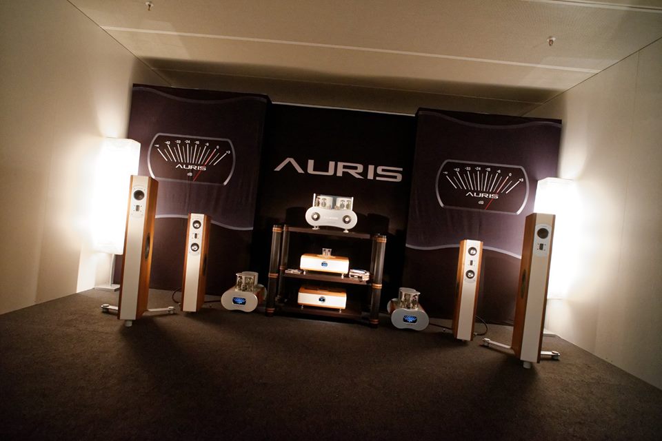 Auris.jpg
