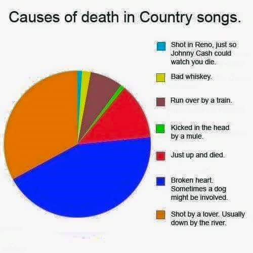 FB_IMG_1533106472903.jpg