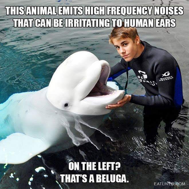 FB_IMG_1541747479033.jpg