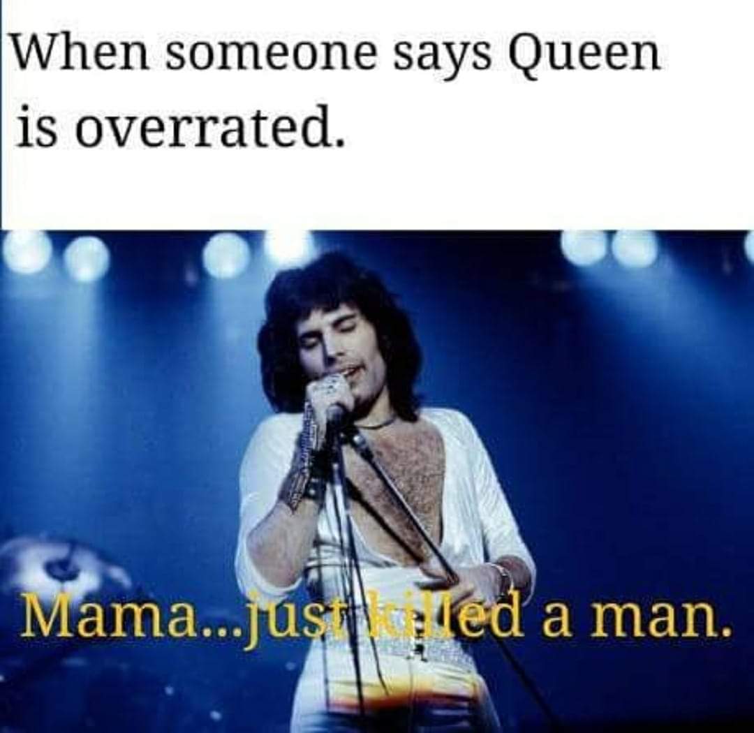 FB_IMG_1544047363643.jpg