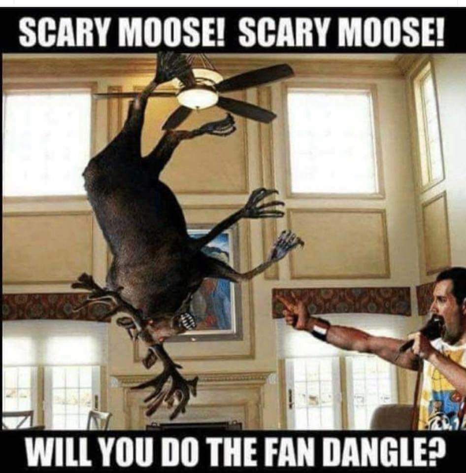 FB_IMG_1544737789644.jpg