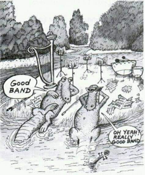 FB_IMG_1554881804493.jpg